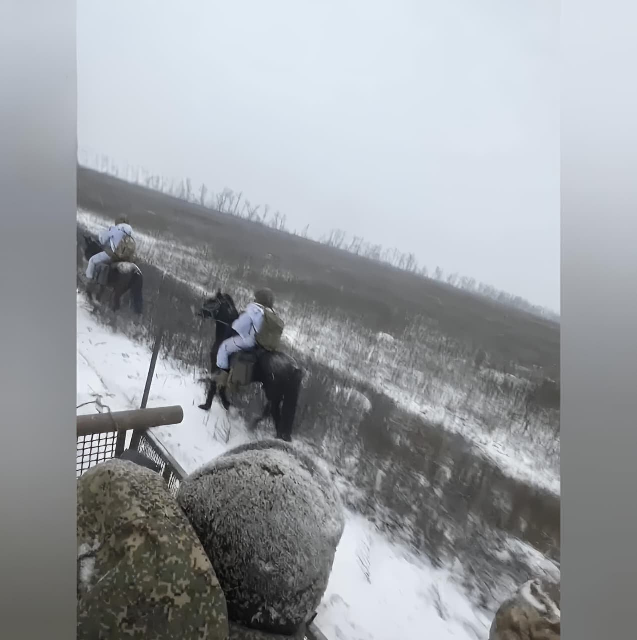 Rusiya ordusunda süvari inqilabı: Atlar ön cəbhə təminatında əsas vasitəyə çevrilir