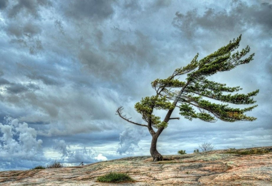 Küləkli hava ilə bağlı sarı və narıncı xəbərdarlıq verilib