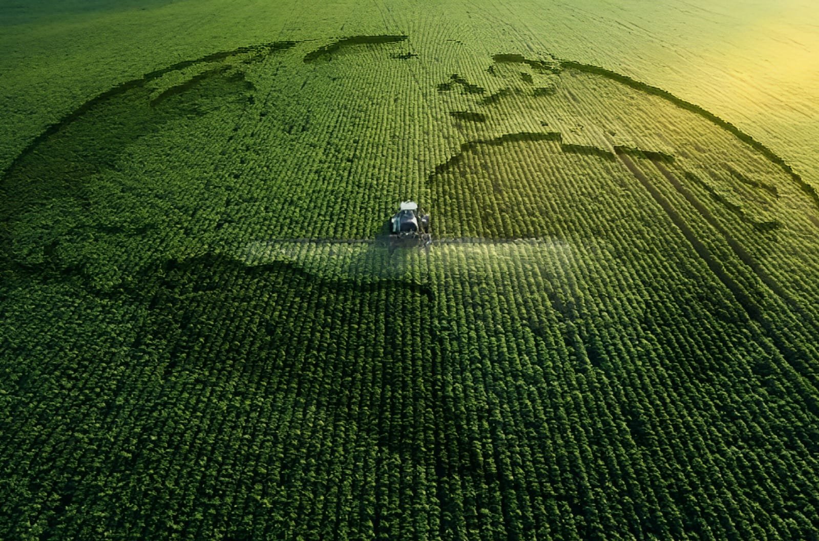 Qlobal bazarda qiymət artımı – müharibənin təsiri